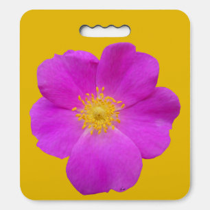 Wild Rose 2 Seat Cushion