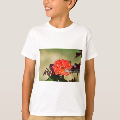 Wild Rose Boys T_Shirts with a Floral Twist