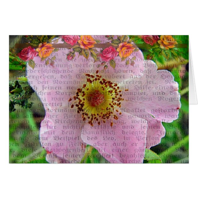 Wild Rose Cards (Front Horizontal)