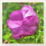 Wild Rose Coaster<br><div class="desc">Wild roses are found across Alaska. This rose was photographed in Juneau.</div>