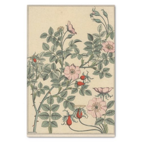 Wild Rose Eugene Grassets Botany Series Tissue Paper