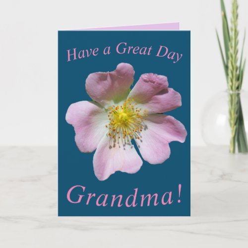 Wild Rose Flower Birthday Card for Grandma