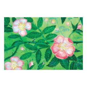 Wild rose flowers photo print