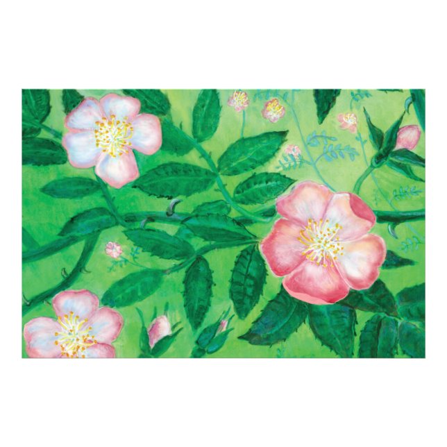 Wild rose flowers   photo print (Front)