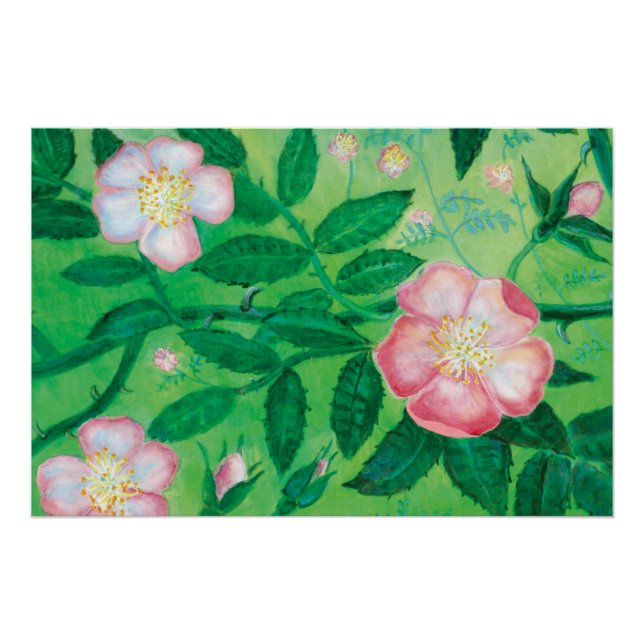 Wild rose flowers poster (Front)