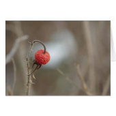 Wild Rose Fruit Card (Front Horizontal)