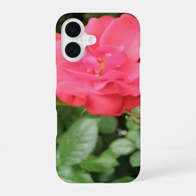 Wild Rose Iphone Case (Back)