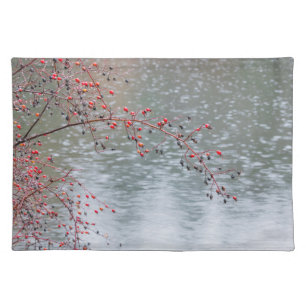 Wild Rose Tree Hanging a Pond Seabeck, WA Placemat