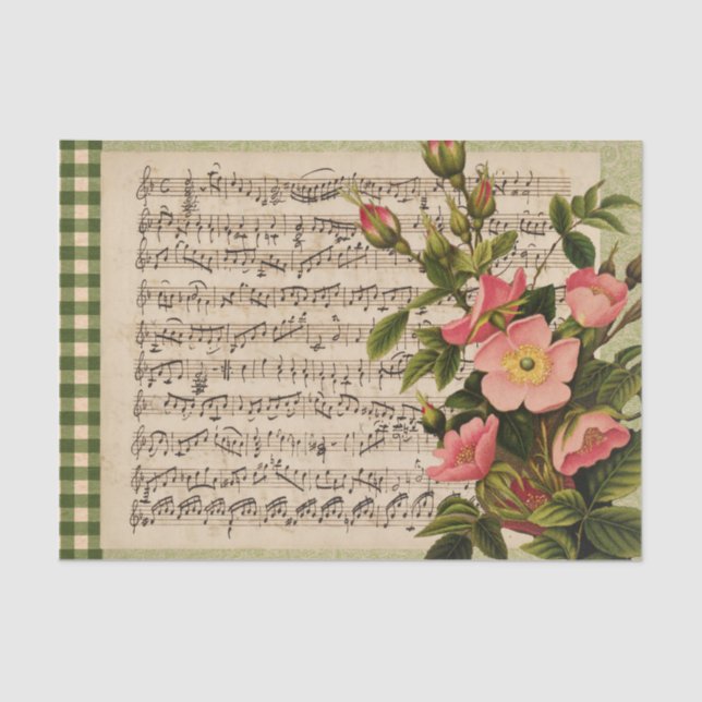 Wild Rose Vintage Sheet Music Check Tissue Paper (Front)