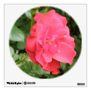 Wild Rose Wall Decal