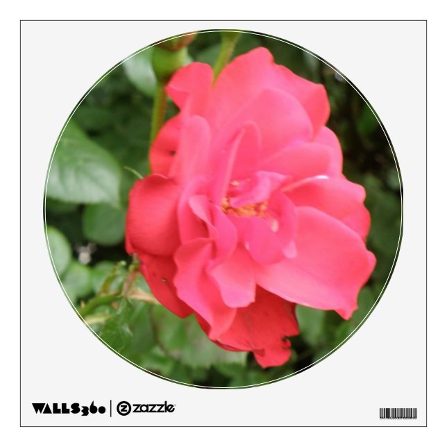 Wild Rose Wall Decal (Front)