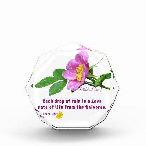 Wild Rose Wildflower Rain Quote Acrylic Award