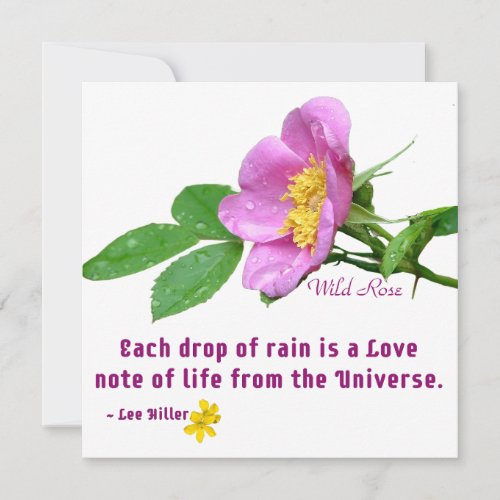 Wild Rose Wildflower Rain Quote Invitation