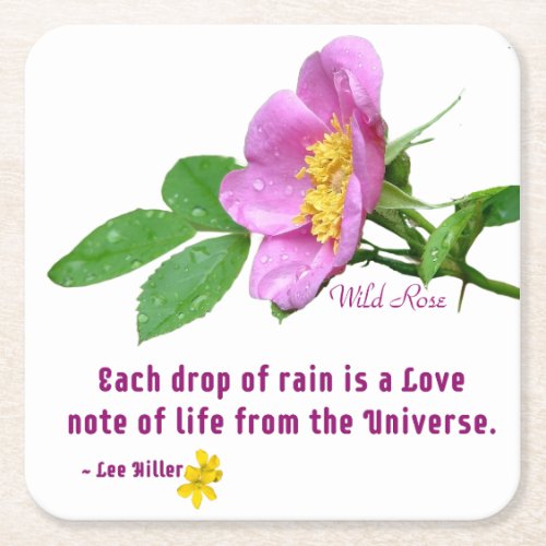 Wild Rose Wildflower Rain Quote Square Paper Coaster