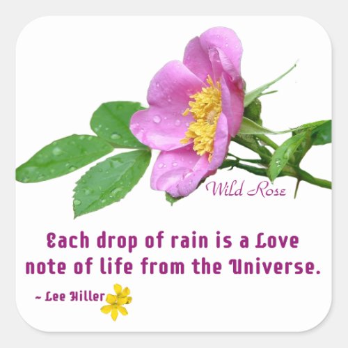 Wild Rose Wildflower Rain Quote Square Sticker