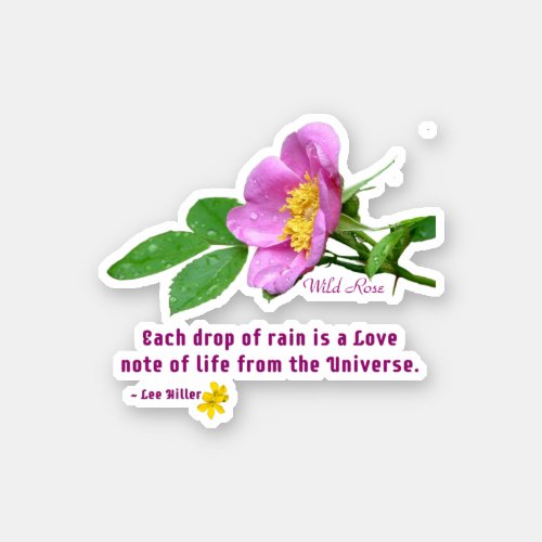 Wild Rose Wildflower Rain Quote Sticker