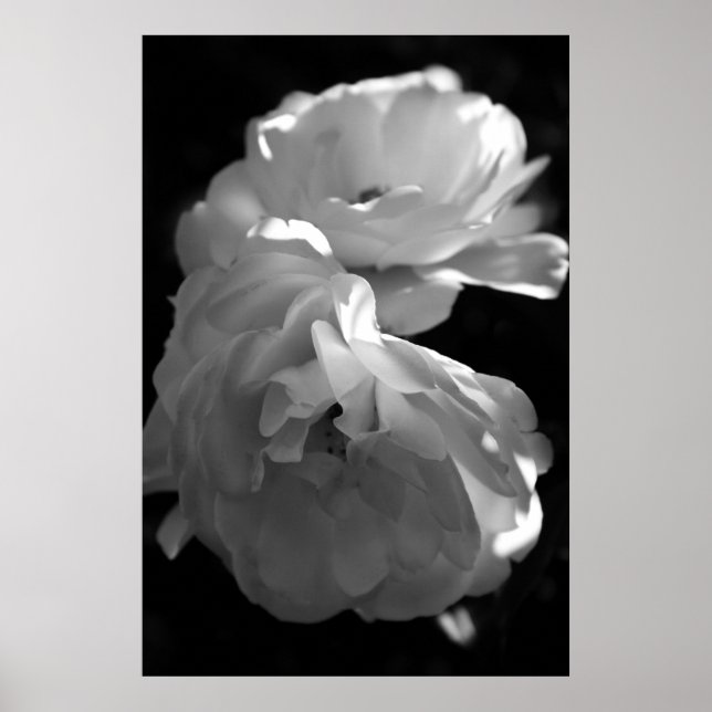 Wild Roses Black and White Floral Photography Poster (Front)