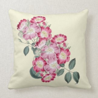 Wild Roses Botanical Indoor Pillow 20x20