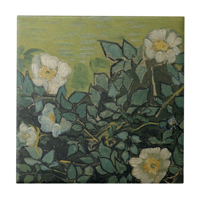 Wild Roses by Vincent van Gogh Ceramic Tile (Front)