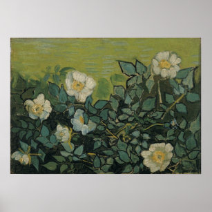 Wild Roses by Vincent van Gogh Poster