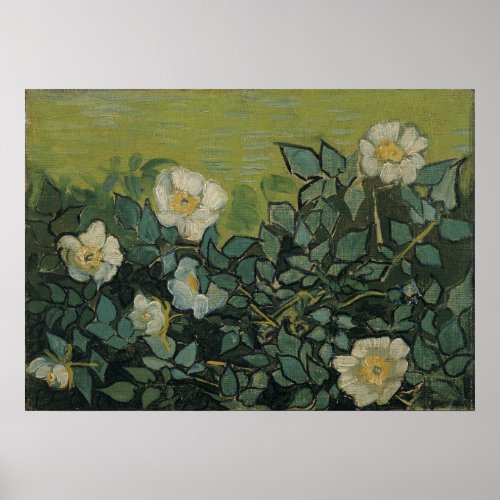 Wild Roses by Vincent van Gogh Poster