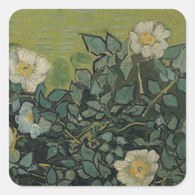 Wild Roses by Vincent van Gogh Square Sticker (Front)