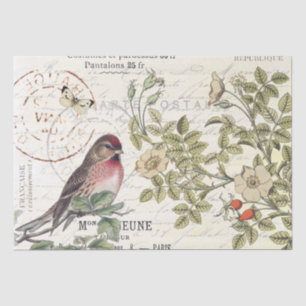 Wild Roses Carte Postale Songbird French Script Tissue Paper