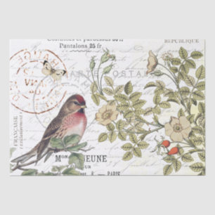 Wild Roses Carte Postale Songbird French Script  Tissue Paper