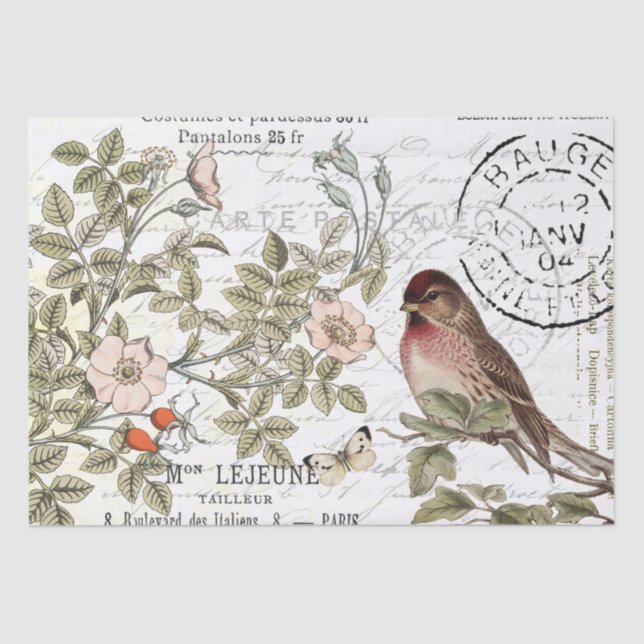 Wild Roses Carte Postale Songbird French Script Tissue Paper (Front)