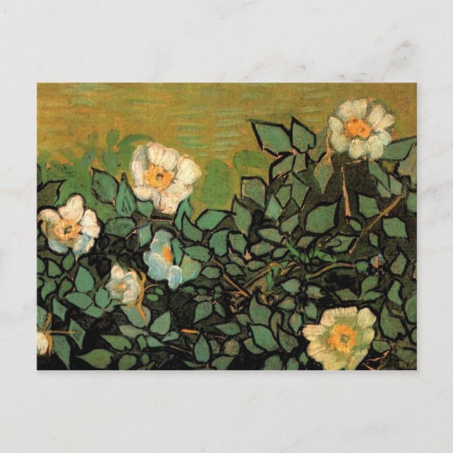 Wild Roses (F597) Van Gogh Fine Art Postcard (Front)