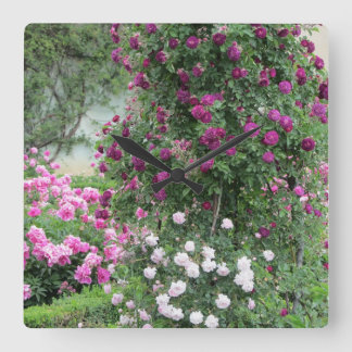 Wild Roses Square Wall Clock