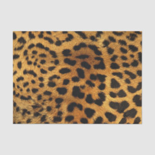 wild Safari animal cheetah girly leopard print Tissue Paper