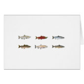 Wild Salmon (Front Horizontal)