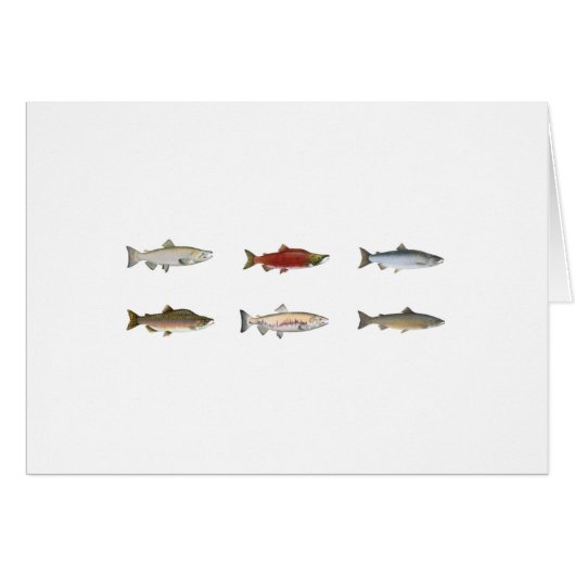 Wild Salmon Cards (Front Horizontal)