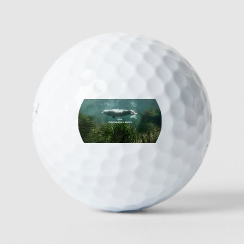 wild seal Golf Balls