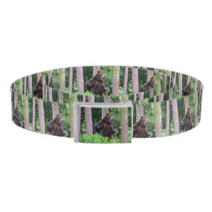 Wild Serenity: Grizzly Bear in Nature Belt