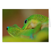 Wild Side Lighthearted Romantic Fun Cards (Front Horizontal)