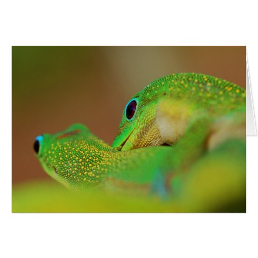 Wild Side Lighthearted Romantic Fun Cards (Front Horizontal)