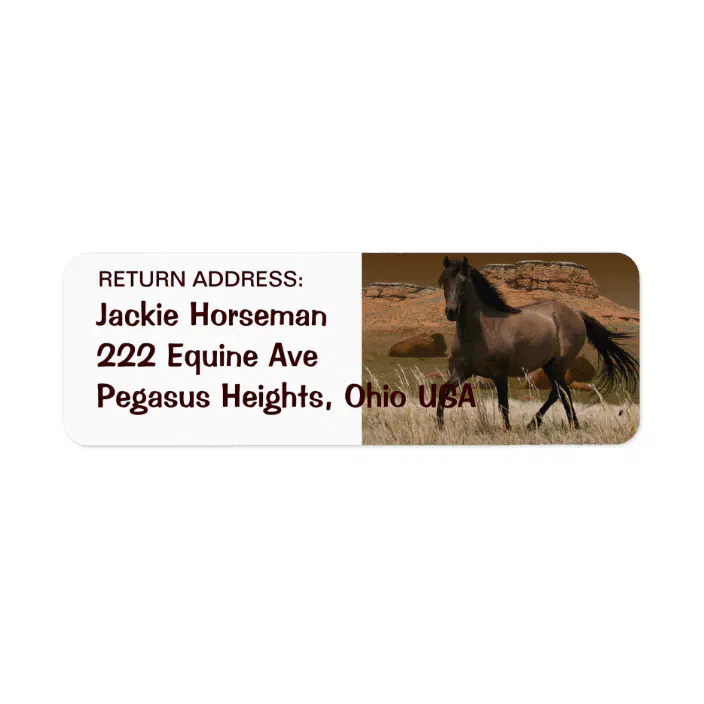 Wild SPANISH MUSTANG HORSE Return Address Labels | Zazzle.com
