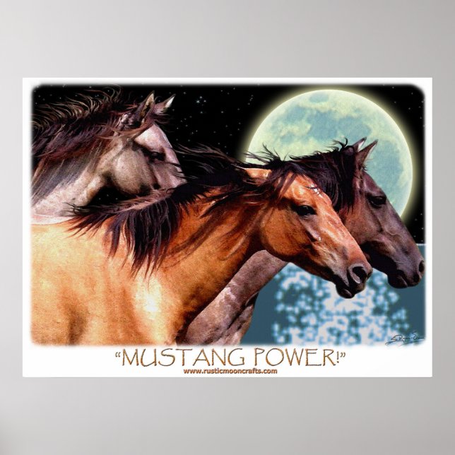 Wild Spanish Mustang Horses Fantasy Art Poster (Front)
