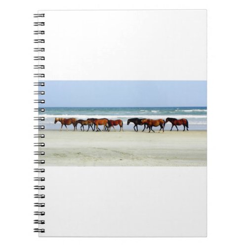 Wild Spanish Mustangs_1436454303408 Notebook