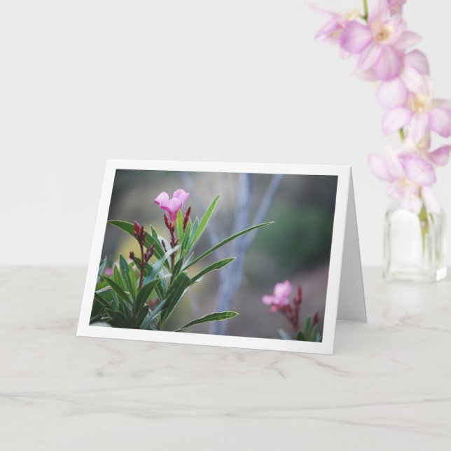 Wild Spanish Nerium Oleander Plant Card (Orchid)