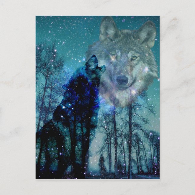 Wild Spirit Postcard (Front)