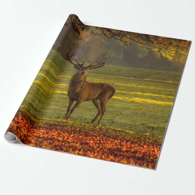 Wild stag wrapping paper (Unrolled)