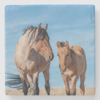 Wild Stallion and Wild Mustang Foal Stone Coaster