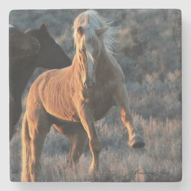 Wild Stallion Coasters (Front)