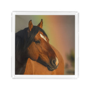 Wild Stallion, Golden Light and Rainbow Acrylic Tray