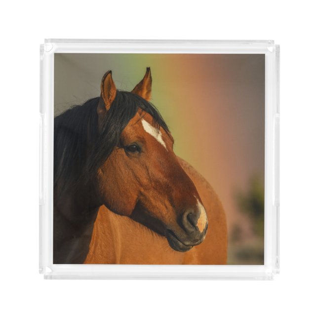 Wild Stallion, Golden Light and Rainbow Acrylic Tray (Front)