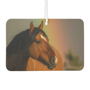Wild Stallion, Golden Light and Rainbow Air Freshener