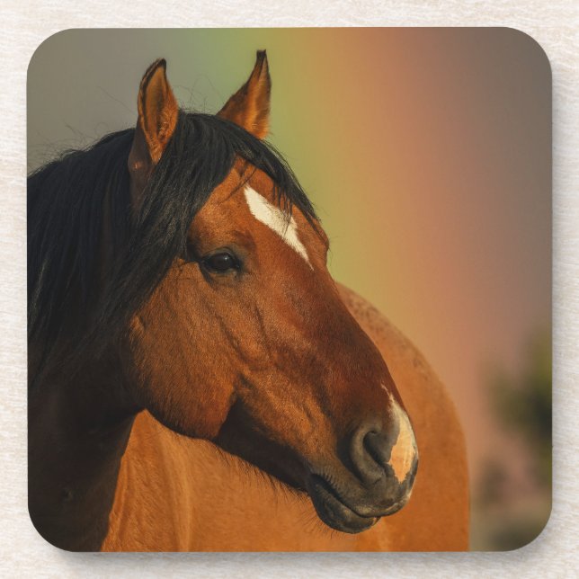 Wild Stallion, Golden Light and Rainbow Beverage Coaster (Front)